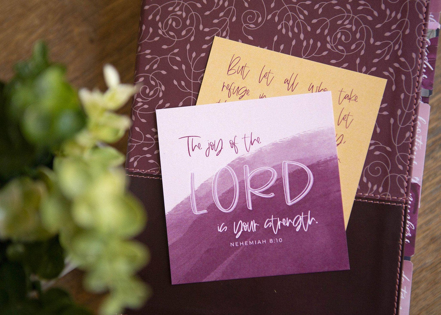 Scripture Cards | Joy Bible Verse Cards