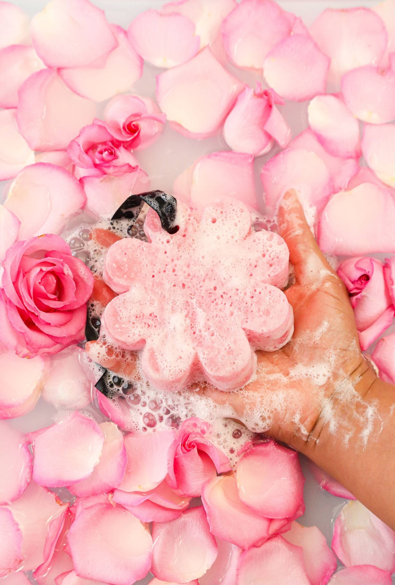 Bulgarian Rose Wild Flower | Flower Sponge | Pink Flower