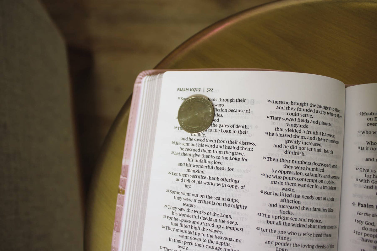 NIV Thinline Bible, Leathersoft, Pink, Red Letter