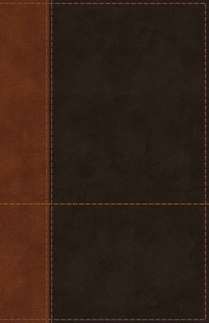 NIV Personal Size Bible, Large Print Leathersoft, Teal/Brown