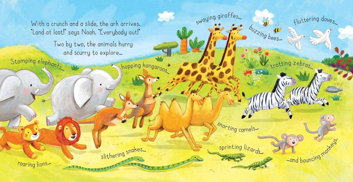 Noah's Ark board book: Usborne