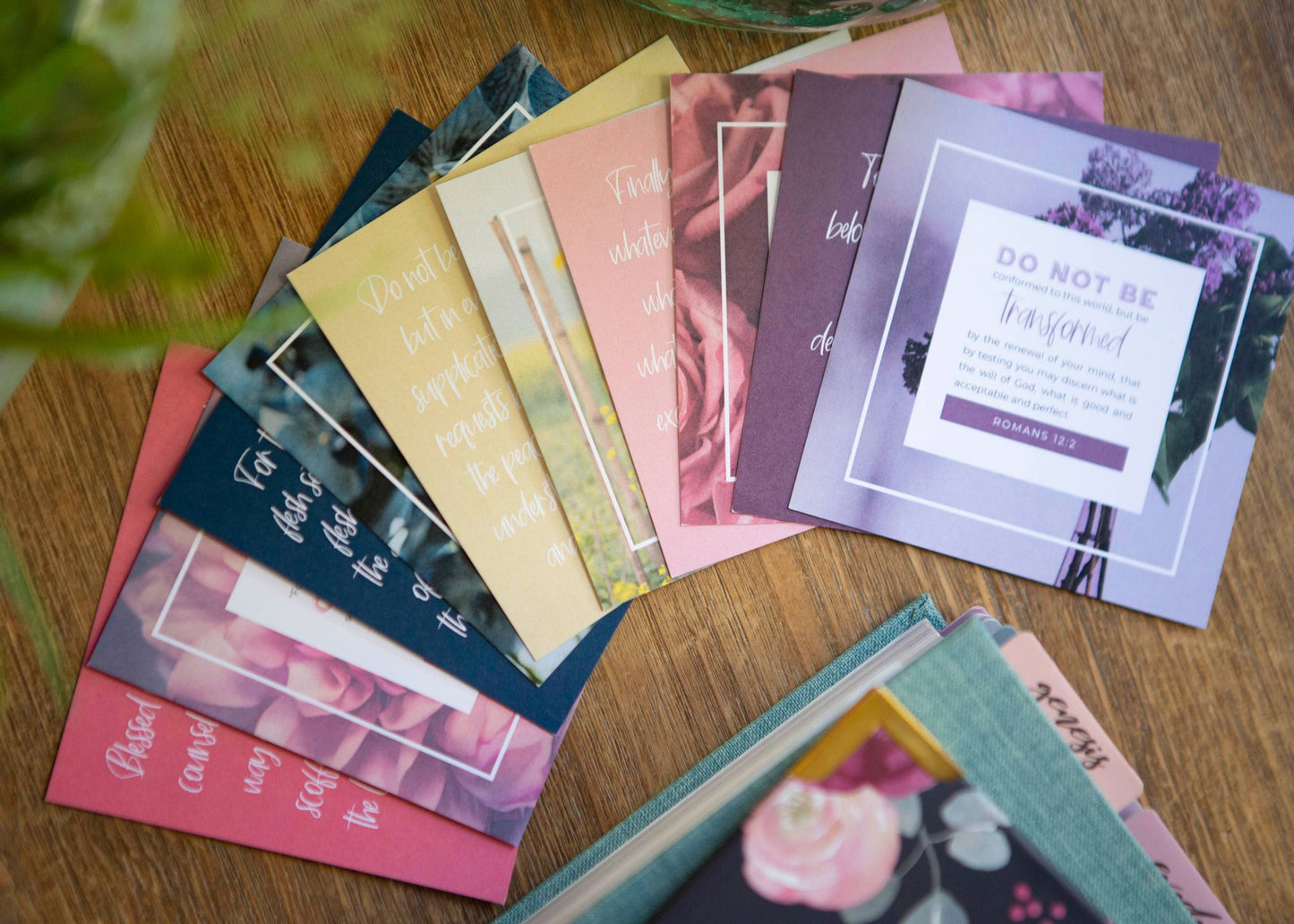 Renewing The Mind Verse Cards