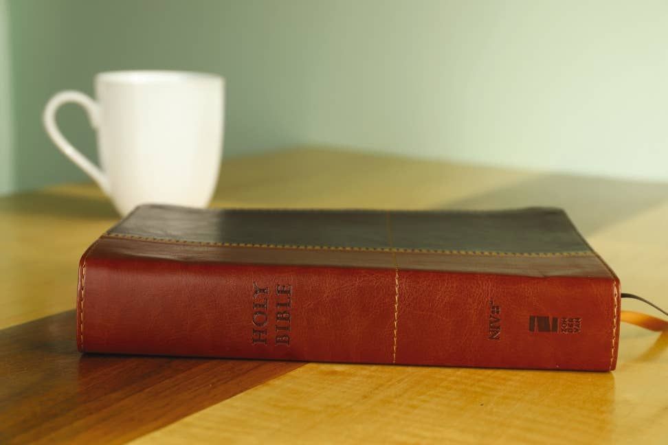 NIV Personal Size Bible, Large Print Leathersoft, Teal/Brown