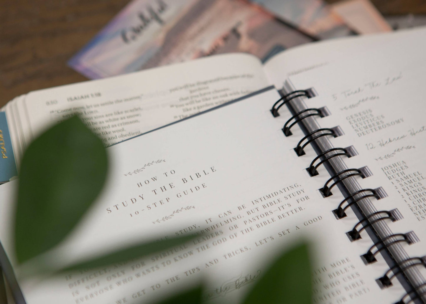 Be Still SOAP Method Bible Study Journal