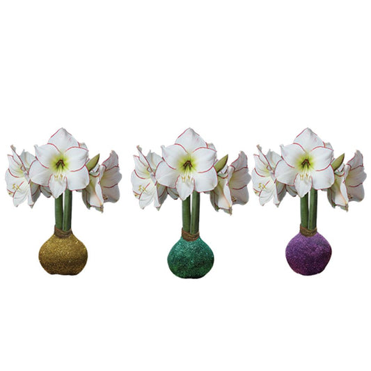 Mardi Mixed Glitter Crate 32+ 21 Bulbs/Crate