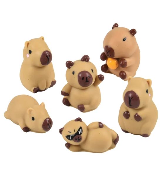 Mini Assorted Capybara Bucket