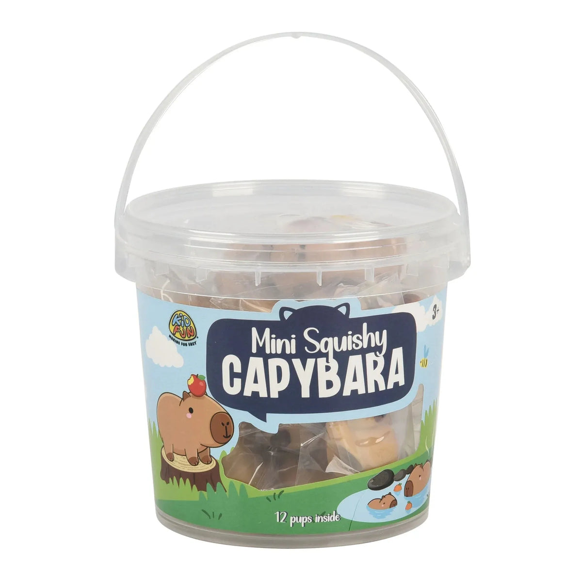 Mini Assorted Capybara Bucket