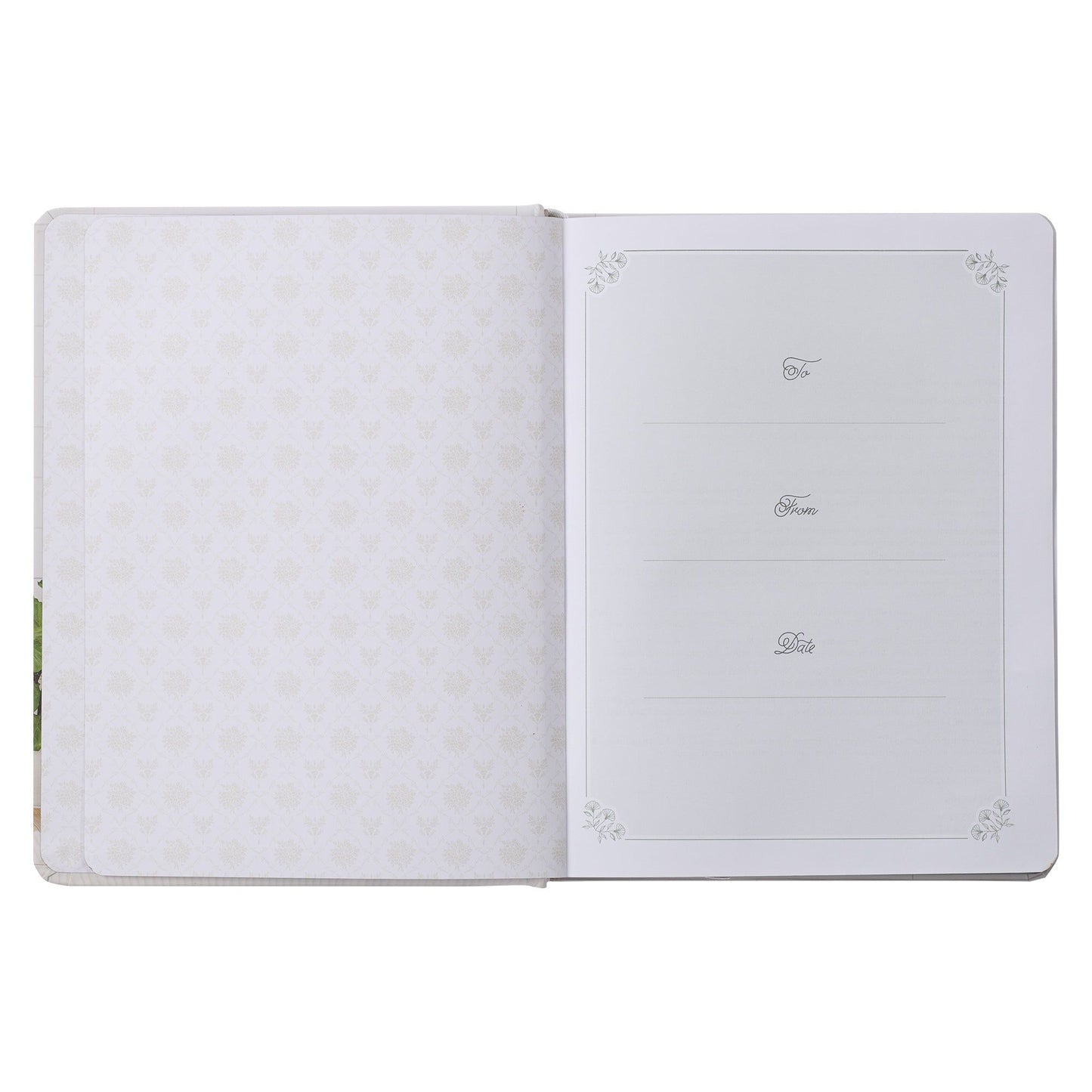 Devotional  Daily  Hope  for  a Woman's
Heart Hardcover