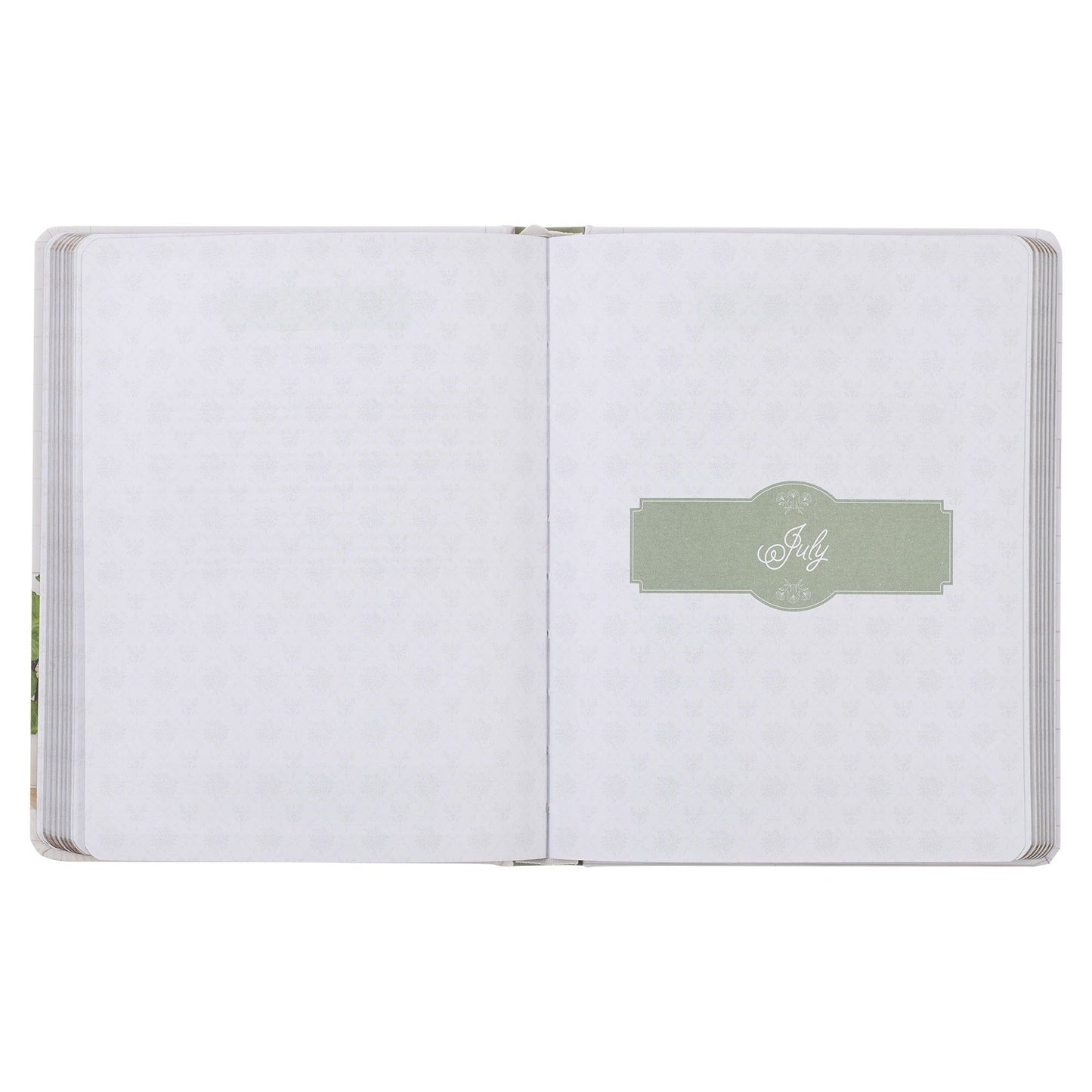 Devotional  Daily  Hope  for  a Woman's
Heart Hardcover