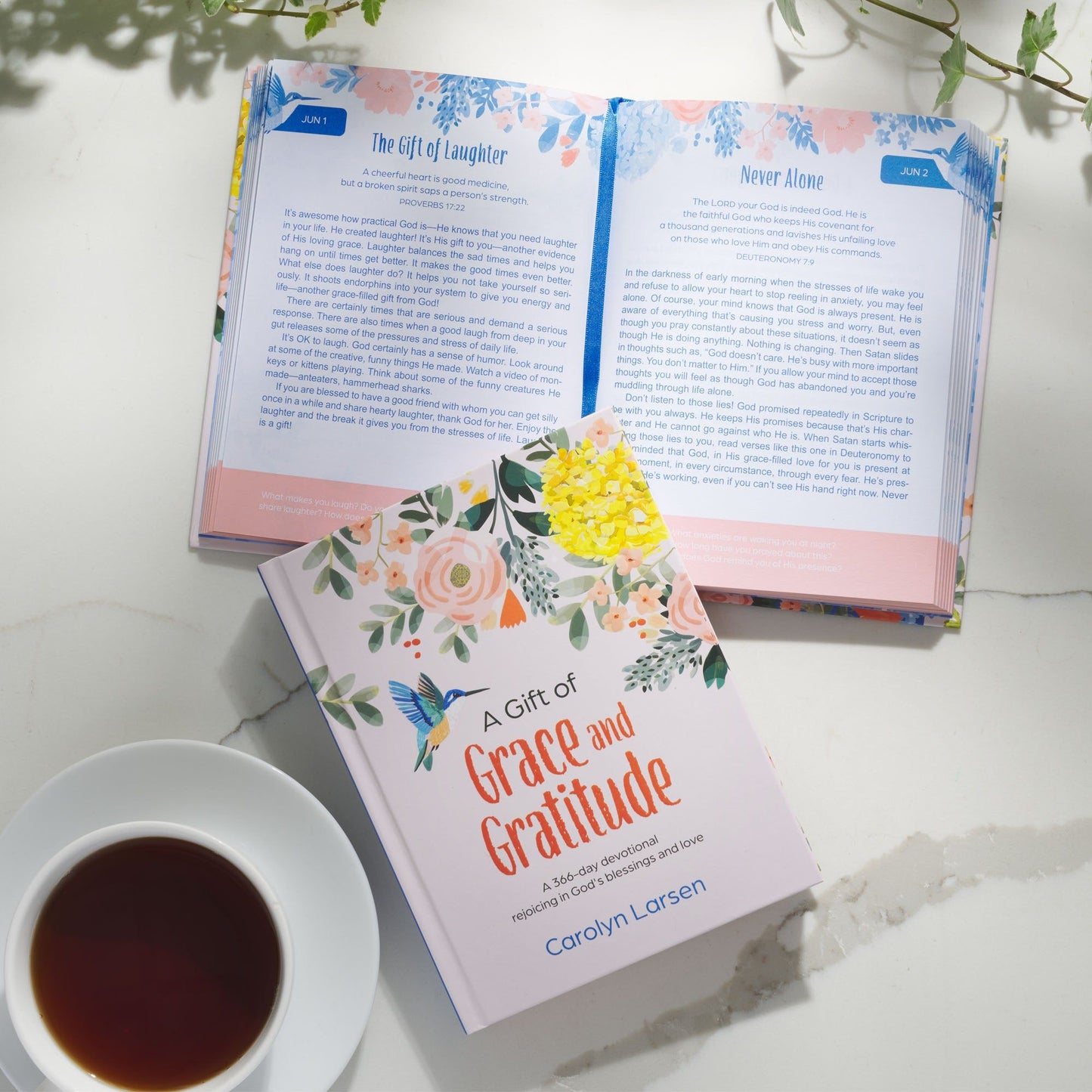 Devotional A Gift of Grace and Gratitude
Hardcover