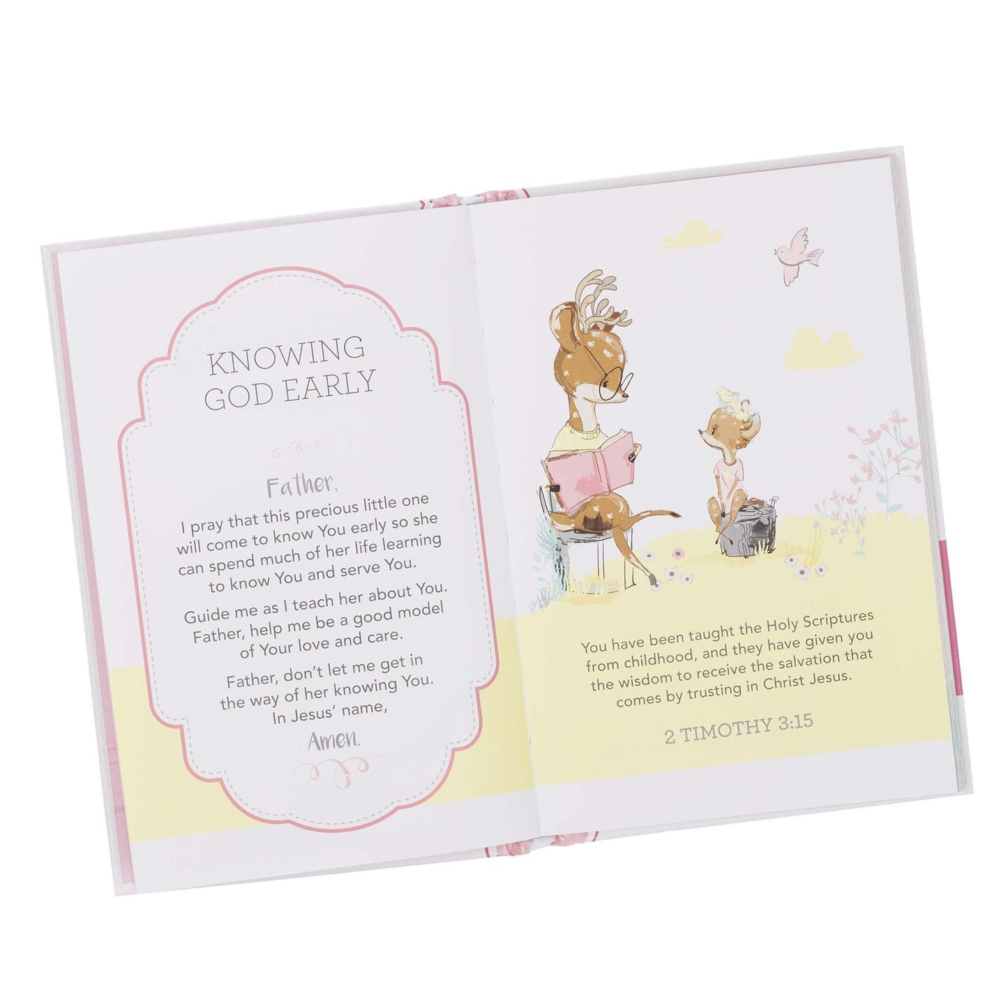 Kid Book Prayers for My Baby Girl Padded
Hardcover