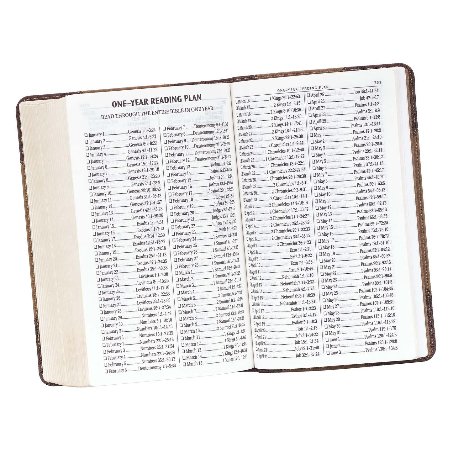 KJV Bible Giant Print Standard-size Faux
Leather, Brown Two-tone