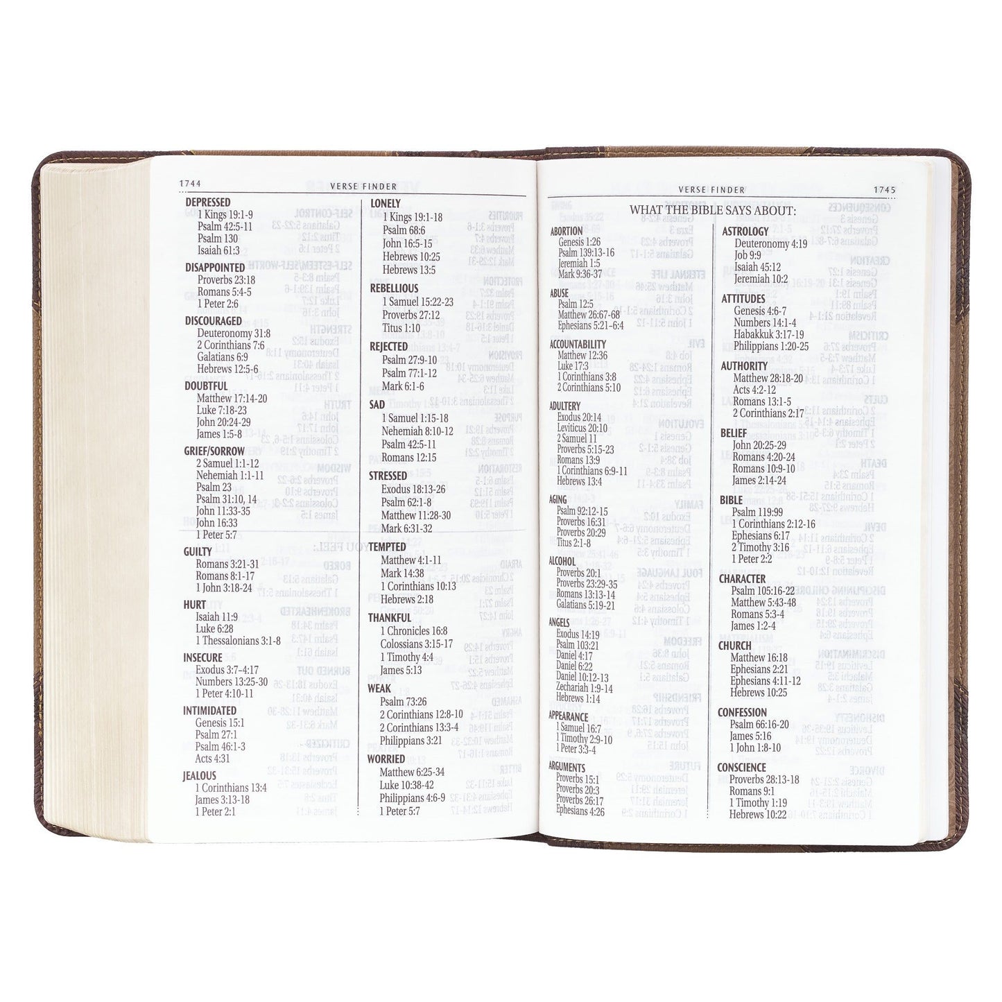 KJV Bible Giant Print Standard-size Faux
Leather, Brown Two-tone