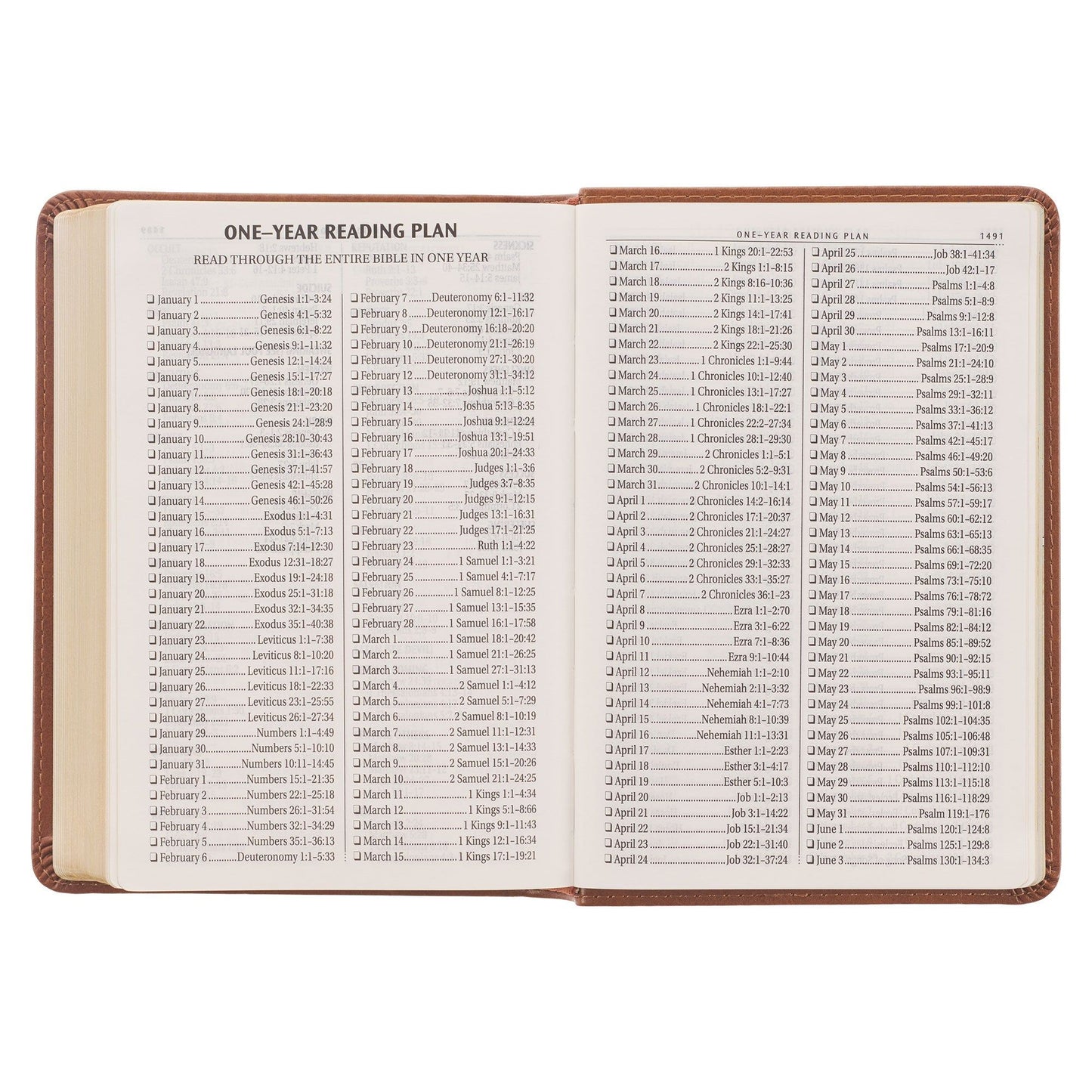 KJV  Bible  Compact  LP  Faux  Leather, Saddle Tan