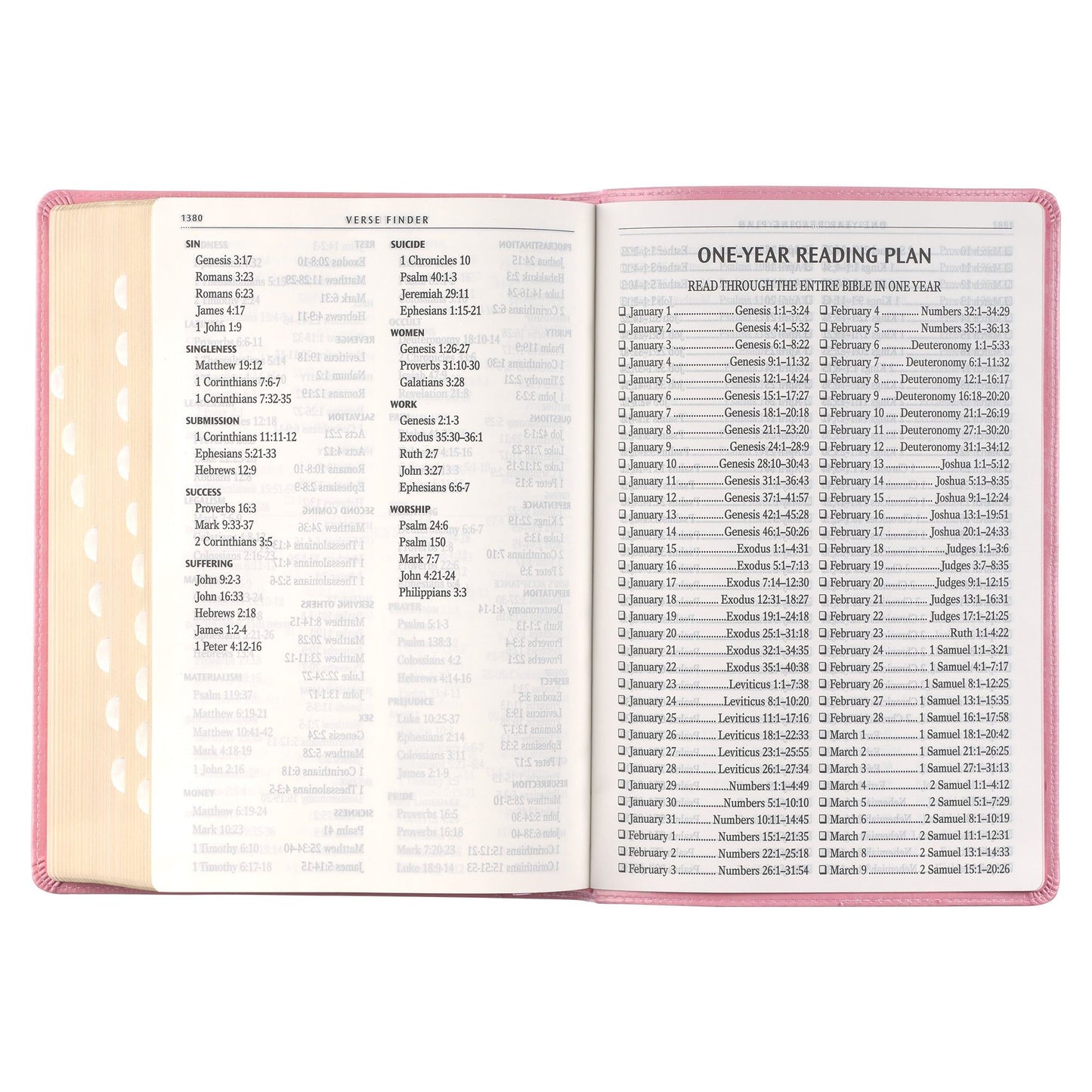 KJV  Bible  Giant  Print  Full-size  Faux
Leather, Pink