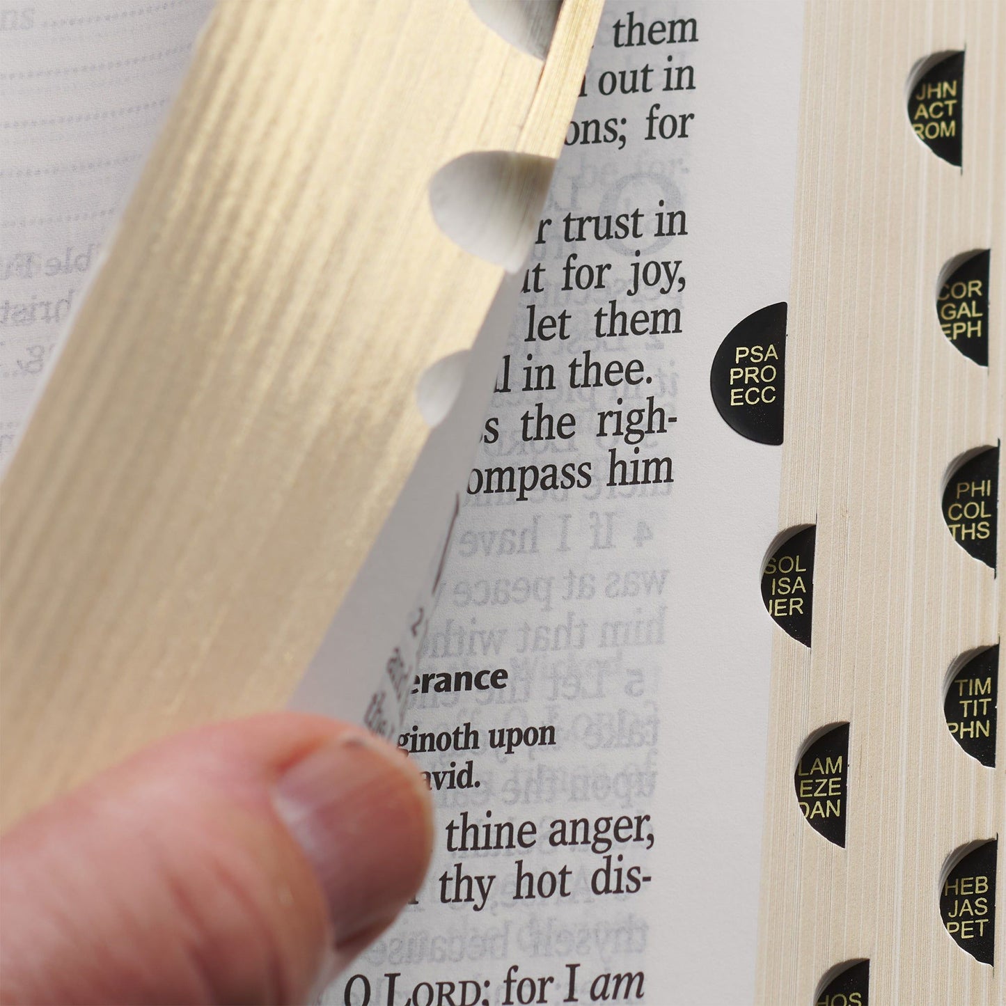 KJV  Bible  Giant  Print  Full-size  Faux
Leather, Pink