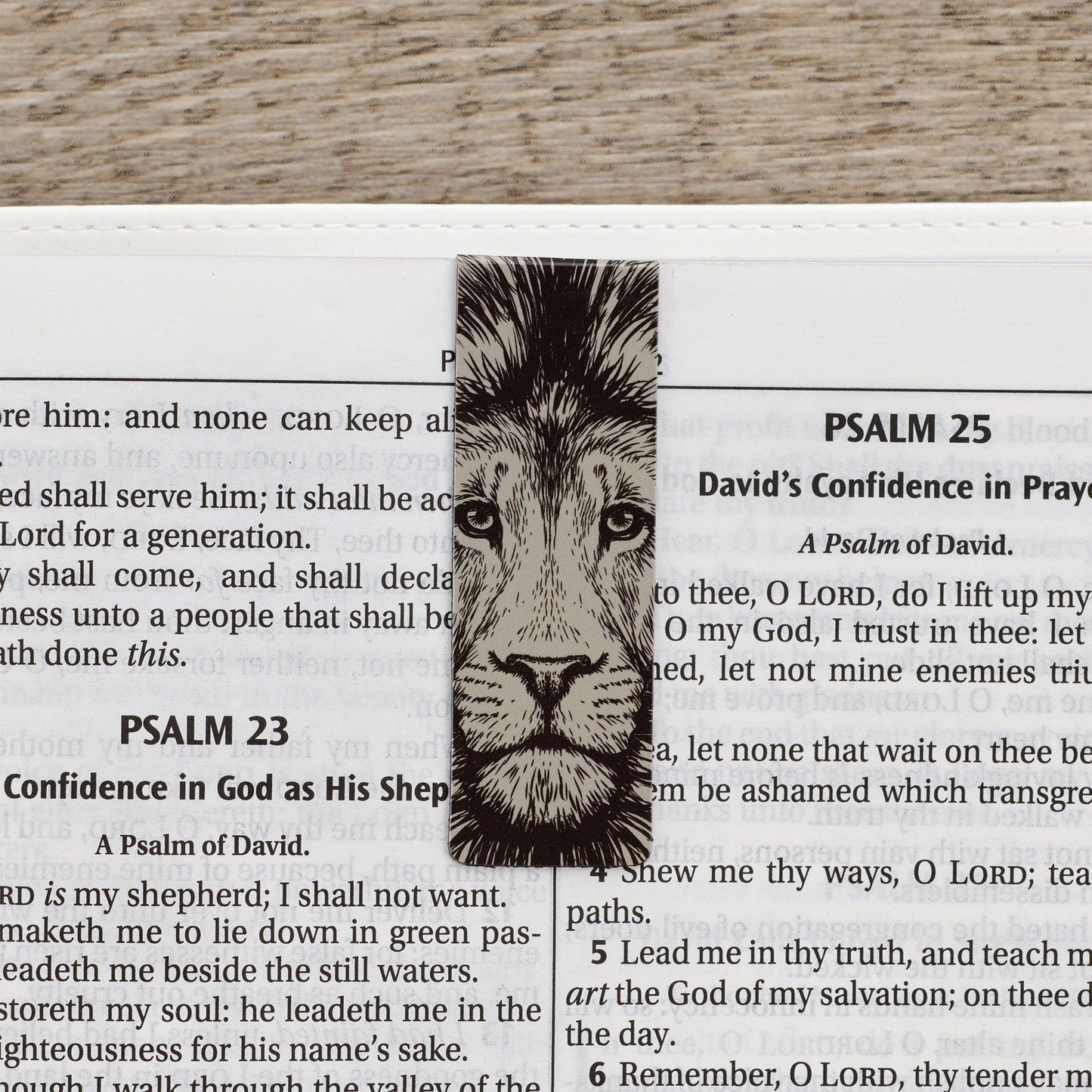 Magnetic  Bookmark  Set  Strong  and Courageous