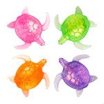 goolala Turtley Awesome Squishy
