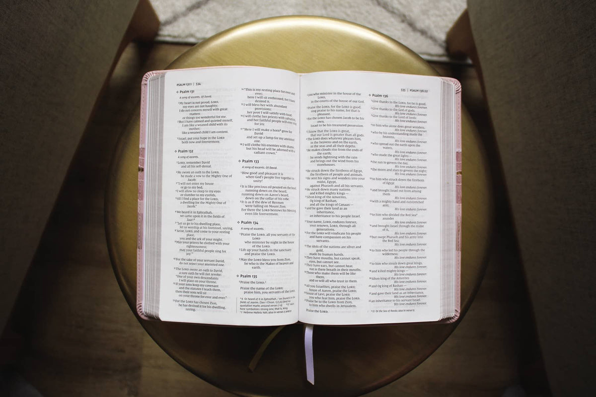 NIV Thinline Bible, Leathersoft, Pink, Red Letter