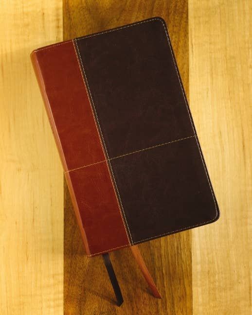 NIV Personal Size Bible, Large Print Leathersoft, Teal/Brown