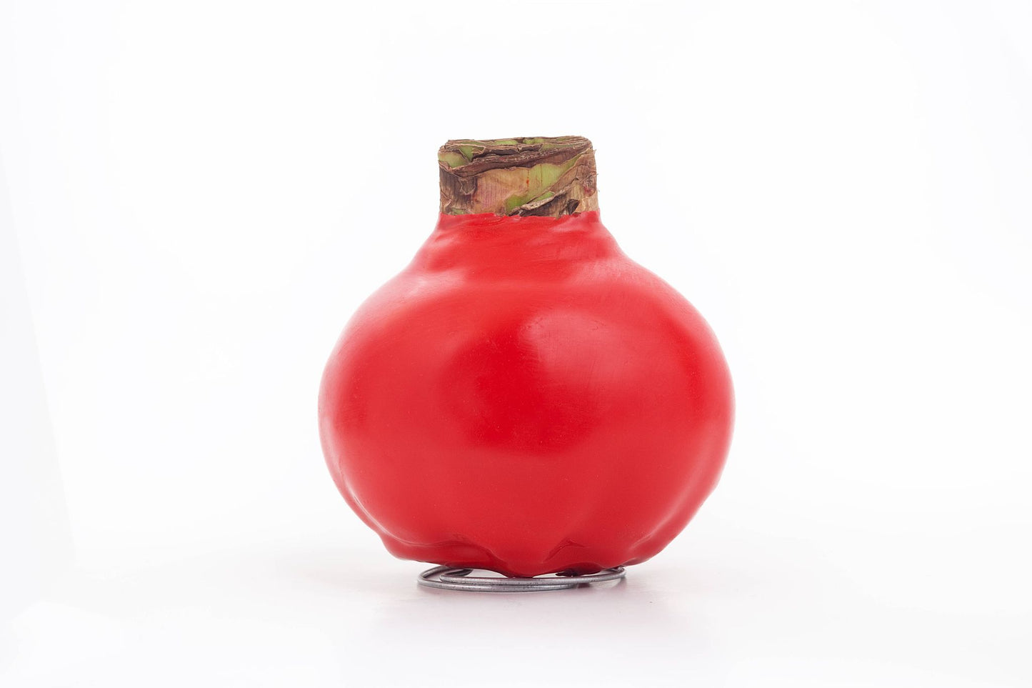 Double Red Flower Red Wax 36+ 18 bulbs/case