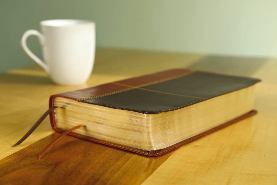 NIV Personal Size Bible, Large Print Leathersoft, Teal/Brown