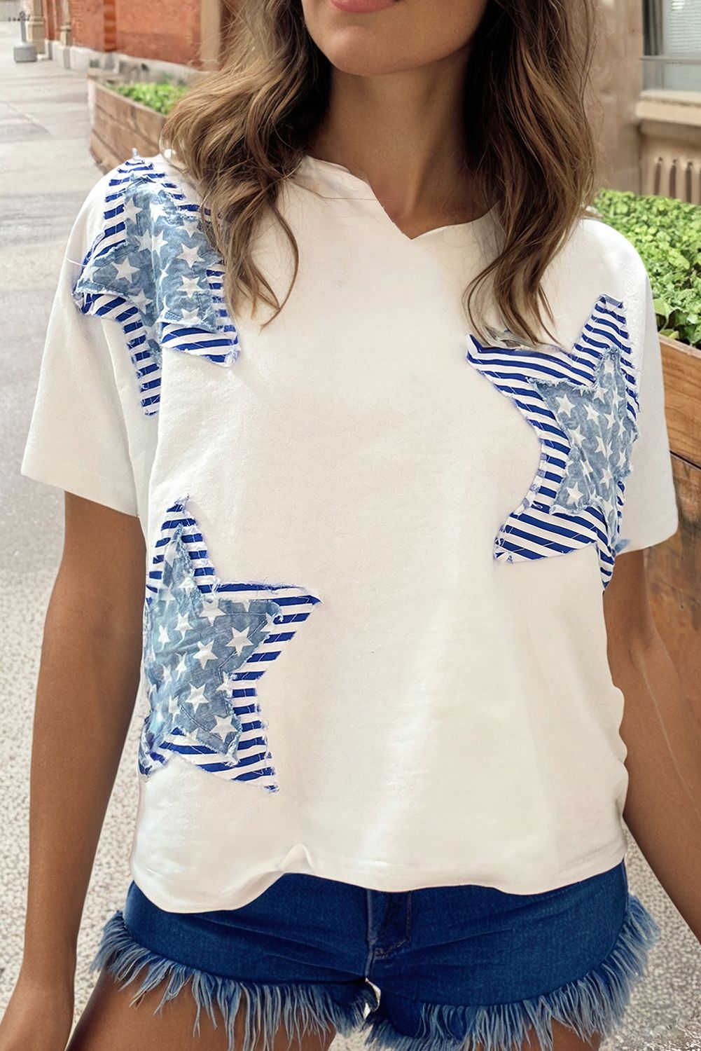 Flag Day Mineral Washed Star Patch V Neck Tee | S-XL
