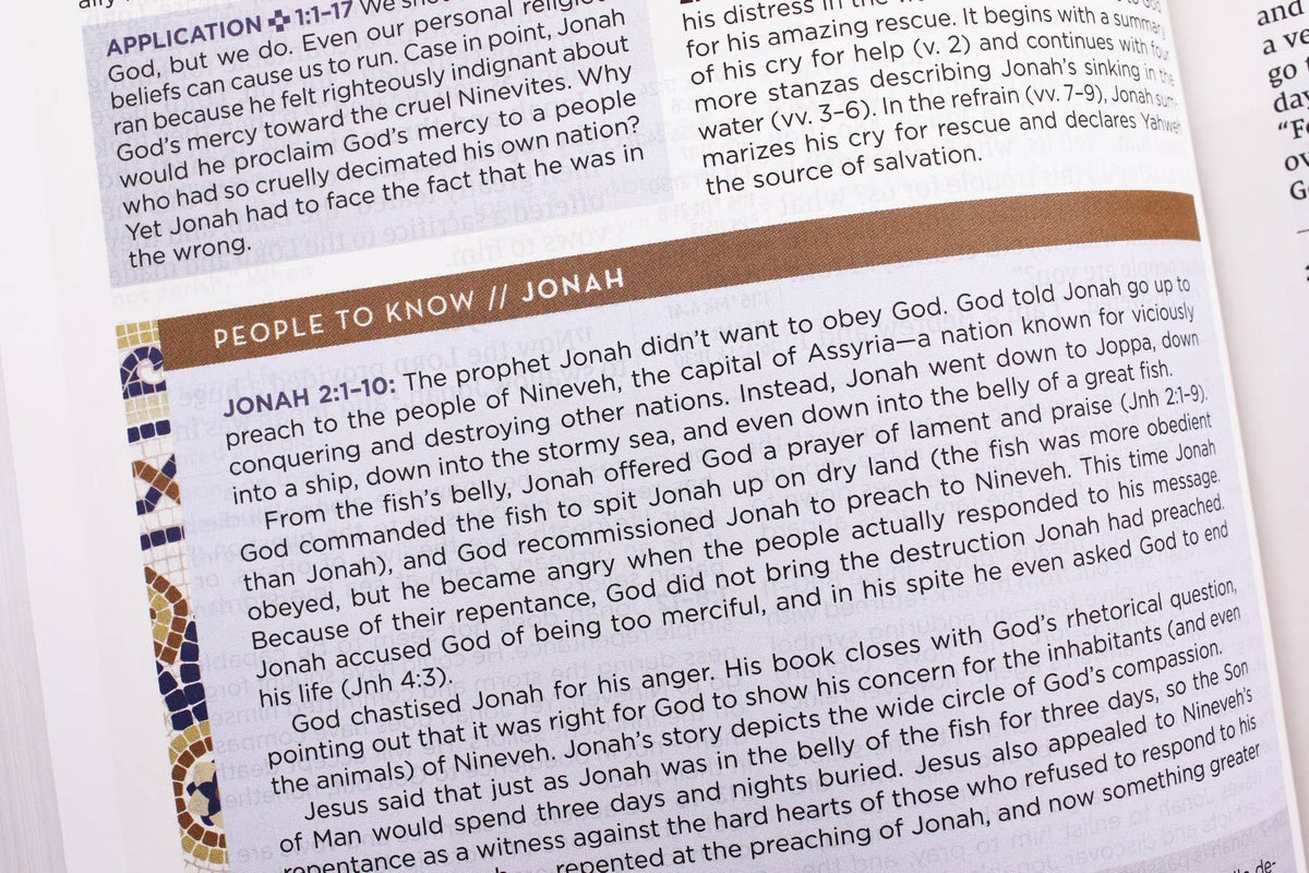 NIV Application Bible Leathersoft Brown Red Letter