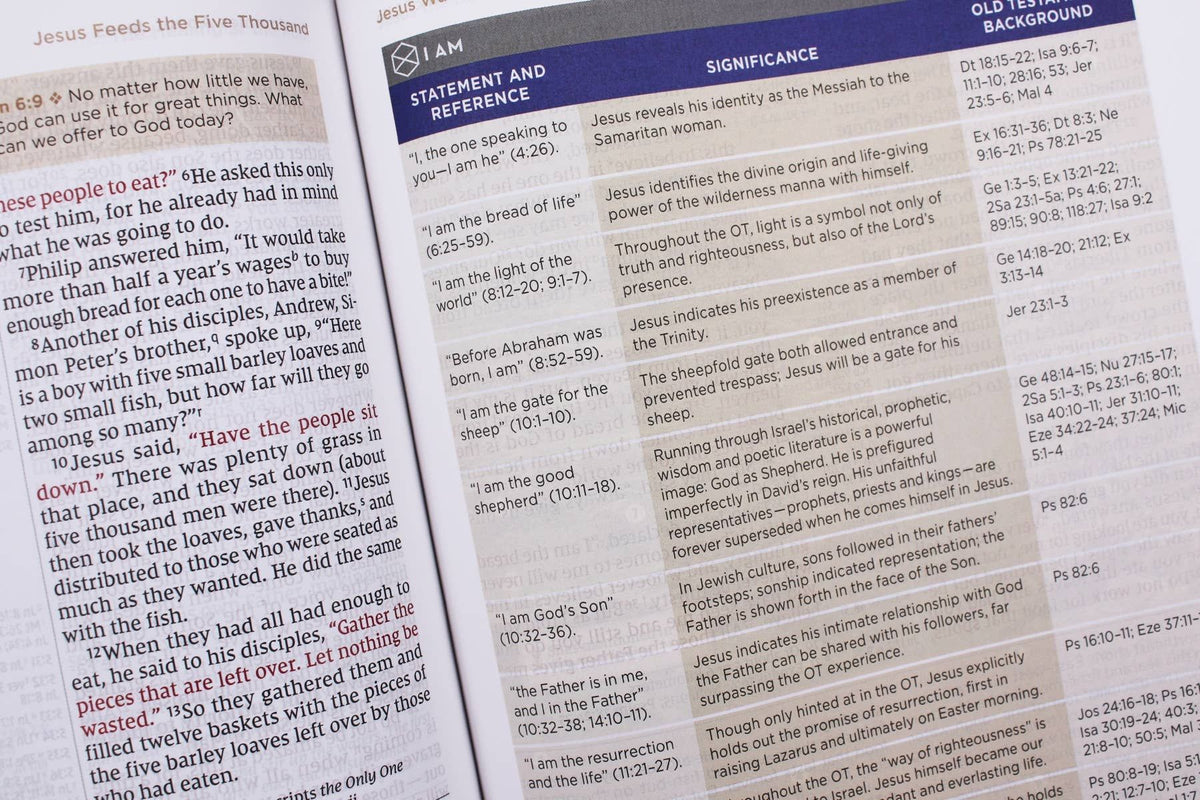 NIV Application Bible Leathersoft Brown Red Letter