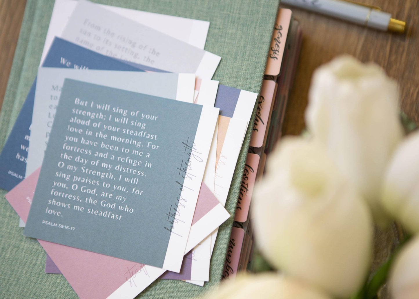 Verse Cards | Praise Scripture Cards