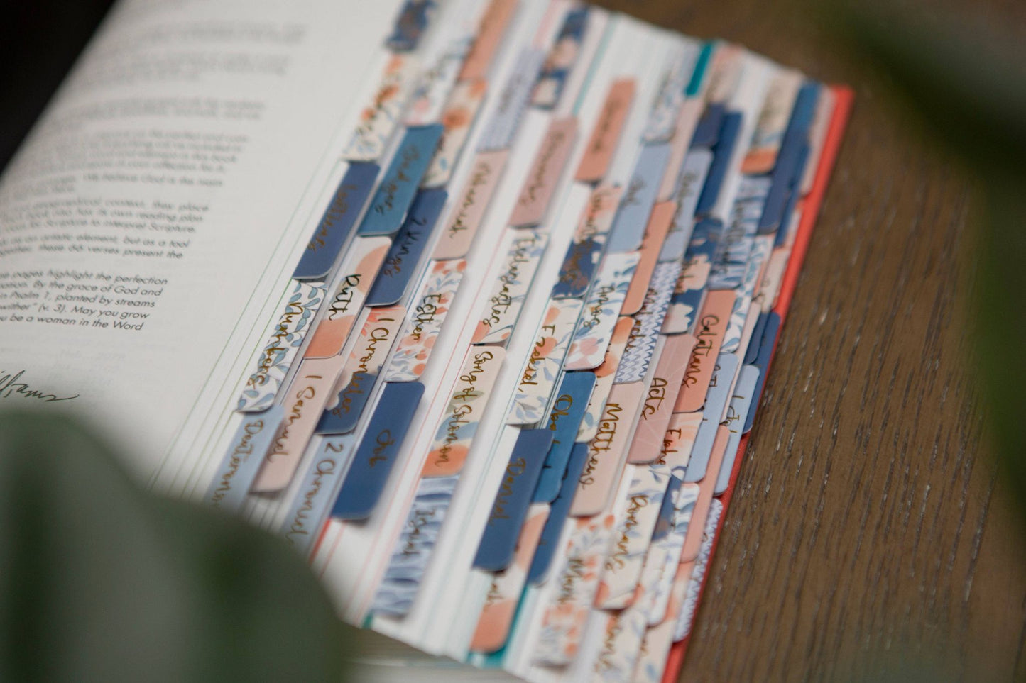 Tabs For Your Bible | Pretty Bible Book Tabs