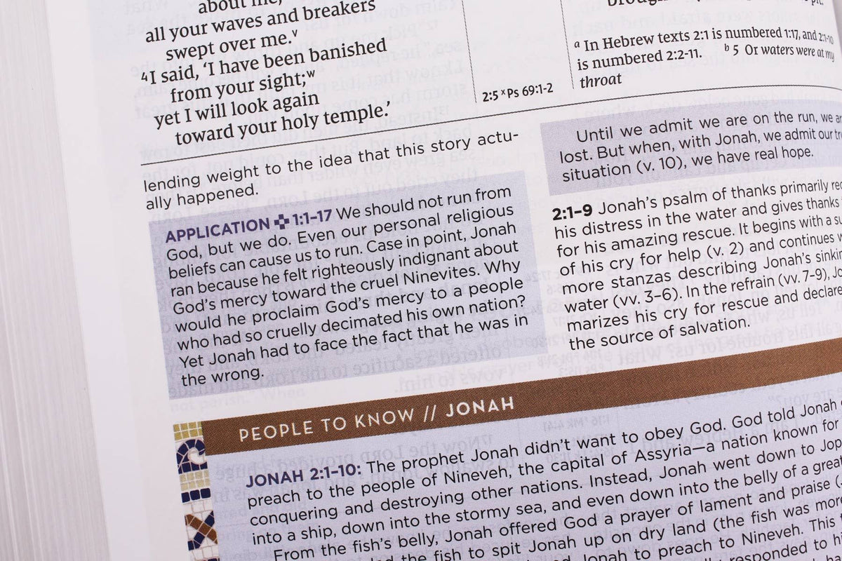 NIV Application Bible Leathersoft Brown Red Letter